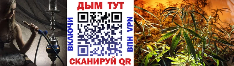 Купить наркотик аптеки Минусинск Гашиш 