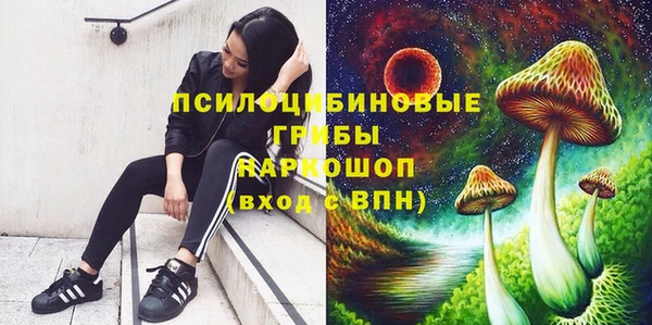 дурь Алзамай