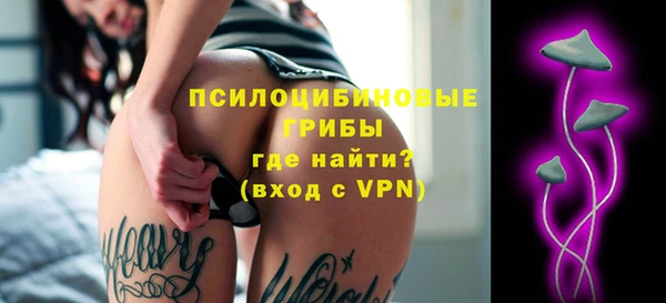 ГАЛЛЮЦИНОГЕННЫЕ ГРИБЫ Алексеевка