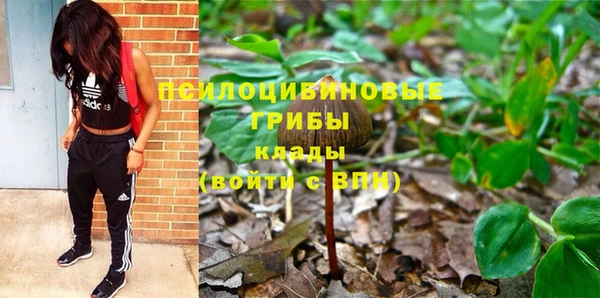 ГАЛЛЮЦИНОГЕННЫЕ ГРИБЫ Алексеевка