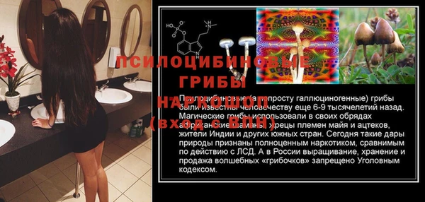 каннабис Алексин