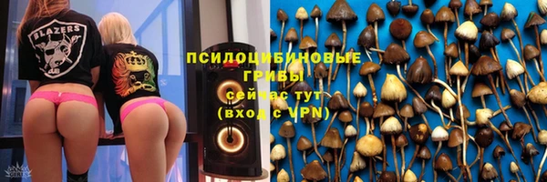 ГАЛЛЮЦИНОГЕННЫЕ ГРИБЫ Алексеевка